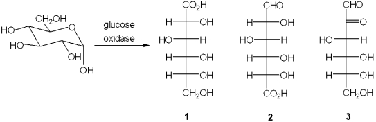 What is the major organic product obtained from the following reaction?   A) only 1 B) only 2 C) only 3 D) only 1 and 2