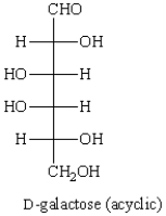  Consider the structure shown below.   The Haworth projection formula for the pyranose form of  \beta -D-galactose is given below.   