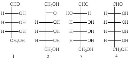 Consider the following structures.   Answer the following questions by placing the appropriate number or indicated letter in the blank. -The structures that represent reducing sugars are: a. only the ketoses. b. only the aldoses. c. all of these structures.
