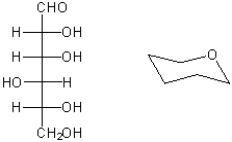 Complete the structure on the right so that it represents the pyranose form of the carbohydrate shown on the left as a Fischer projection. Place the substituents carefully so that their position in axial or equatorial positions accurately reflects the stereochemistry of the carbohydrate.  