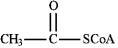 The structure of acetyl-CoA is shown below and is a building block from which steroids are produced.  