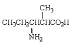  The molecule shown below is an  \alpha -amino acid.   