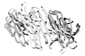 Consider the following image.   This represents the quaternary structure of a protein.