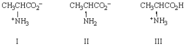 Structure _____ (shown below) will migrate toward the positive electrode in an electrophoresis experiment.  