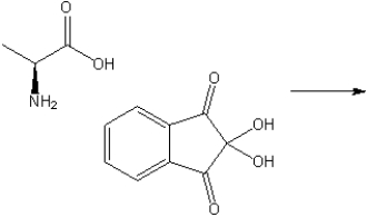 What are the products of the reaction of alanine and ninhydrin (shown below)?  