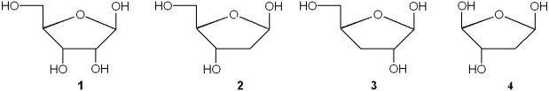 Which of the following is 2-deoxy-D-ribose?   A) 1 B) 2 C) 3 D) 4