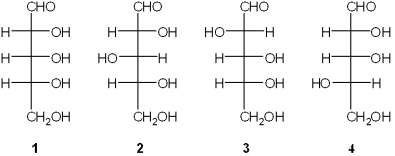 Which of the following is D-ribose?   A) 1 B) 2 C) 3 D) 4