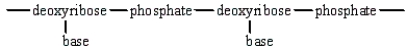The structural arrangement of DNA is