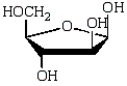 The structure of the sugar in RNA is shown below.  