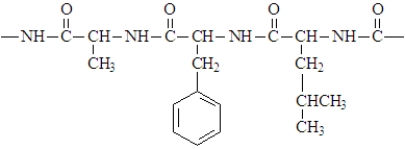 Consider the structure given below which might be found in a protein.   Answer the following questions by filling in the blank with the appropriate word or term. -Nitroethylene is expected to be _______ reactive than ethylene toward anionic polymerization.  