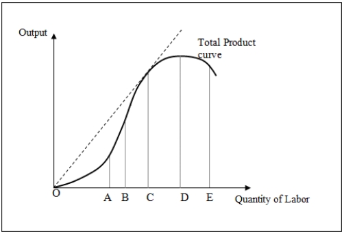 Figure 7-1 shows the total product curve for different levels of a variable input,labor. Figure 7-1   -In Figure 7-1,marginal product of labor becomes negative beyond point _____. A) A B) B C) C D) D