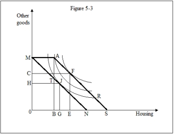 <strong>Figure 5-3 shows a family's preferences for housing and other goods.Refer to Figure 5-3.Suppose the government offered public housing that provided exactly B0 units of housing services to a low-income family.The public housing unit:  </strong> A)is provided by the government at a cost of $TB. B)allows the family to reach a higher indifference curve but causes the family to consume more housing than an equal-sized cash transfer. C)increases the level of housing consumption by the same amount as an equal-sized cash transfer. D)causes the family to consume less housing than before the fixed-quantity subsidy. <div style=padding-top: 35px> 