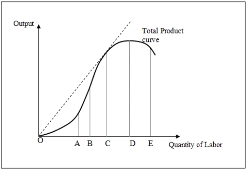 Use the following figure to answer the questions : Figure 7-2 shows the total product curve for different levels of a variable input,labor.   -When the labor input employed in production is between points O and C in Figure 7-2: A) average product reaches a minimum. B) marginal product reaches a maximum. C) marginal product is below average product. D) total product first increases at a decreasing rate and then increases at an increasing rate.