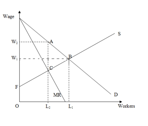 Use the following figure to answer the question : Figure 17-2 : shows the demand [D],marginal revenue [MR],and supply [S] curves in the market for labor.   -Refer to Figure 17-2.If union members cartelize the supply side of the market,the economic rent that accrues to the union is represented by the area _____. A) W<sub>1</sub>BF B) W<sub>2</sub>ACF C) W<sub>2</sub>ABF D) W<sub>2</sub>AL<sub>2</sub>O