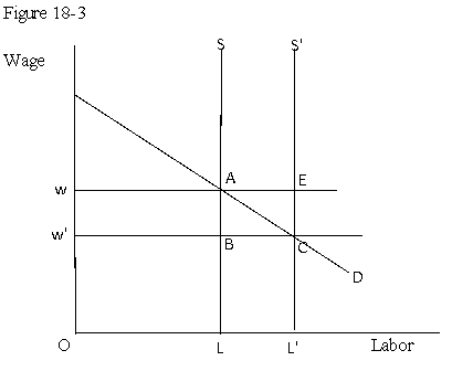 Use the following figure to answer the question : Figure 18-3 :  shows the impact of immigration on the labor market of a country.Immigration in shifts the labor supply curve from S to S'.   -Refer to Figure 18-3.The increase in the income of the capital owners in the country,due to immigration,is represented by the area: A) ABC. B) wACw'. C) ABCE. D) wABw'.