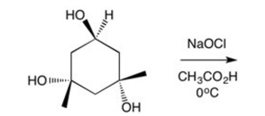 What is the product of the following reaction?  