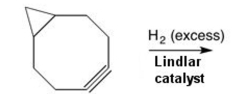 Draw the major product of the following reaction:  