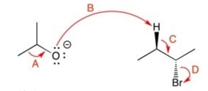 Which of the curved arrows are correct for this reaction?   A)  A B)  B C)  C D)  D