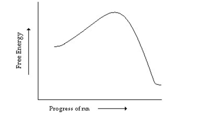 Which of the following describes the reaction whose reaction coordinate diagram is shown below?   A)  endergonic with no transition state B)  exergonic with no transition state C)  endergonic with a transition state D)  exergonic with a transition state E)  endergonic with an intermediate