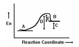  What is the free energy of activation for reaction  \mathrm { B } \rightarrow \mathrm { A }  in the following reaction coordinate diagram?   A)  A B)  B C)  C D)  D E)  E 