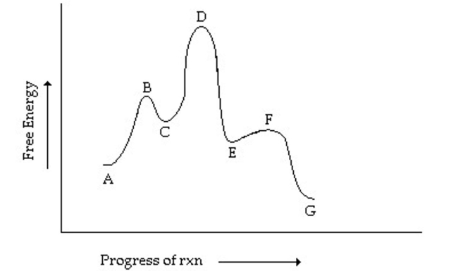 Which step has the greatest activation energy in the reverse direction?   A)  A going to C B)  C going to E C)  E going to G D)  E going to C E)  C going to A