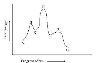 Which letters designate intermediates in the reaction coordinate diagram shown below?  