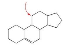 How many hydrogens are attached to the indicated carbon?   A)  zero B)  one C)  two D)  three