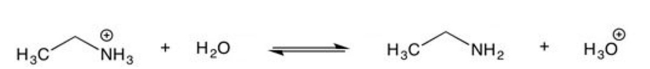 Which are favored at equilibrium, reactants or products?   A)  Reactants B)  Products C)  Both D)  Neither