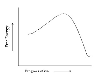 Which of the following correctly describes the reaction whose reaction coordinate diagram is shown?   A) endergonic with no transition state B) exergonic with no transition state C) endergonic with a transition state D) exergonic with a transition state E) endergonic with an intermediate