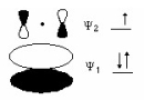 Which species is represented by the following distribution of π electrons in the molecular orbitals and energy levels diagram?     A) I B) II C) III D) IV E) V
