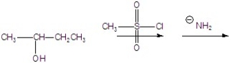 Give the major product for the following reaction.  