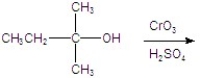 Give the major product for the following reaction.  