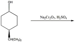Provide the major organic product of the reaction below.  