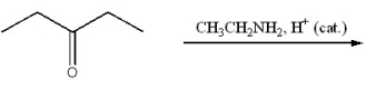 Provide the major organic product of the following.  