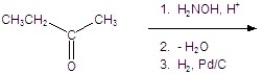 Give the product for the following reaction.   A) CH<sub>3</sub>CH<sub>2</sub>CH<sub>2</sub>NHCH<sub>3</sub> B)    C)    D) CH<sub>3</sub>CH<sub>2</sub>CH<sub>2</sub>CH<sub>3</sub> E)   