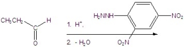 Give the product for the following reaction.  