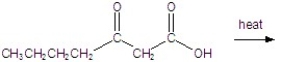 Give the major product for the following reaction.  
