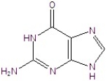 Name the following compound. A) adenine B) guanine C) cytosine D) uracil E) thymine