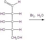 Give the major product(s) for the following reaction.   A) no reaction B)    C)    D)    E)   