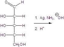 Give the major product(s) for the following reaction.   A) no reaction B)    C)    D)    E)   