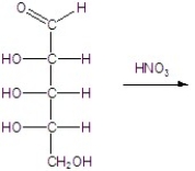 Give the major product(s) for the following reaction.   A) no reaction B)    C)    D)    E)   