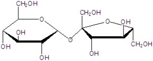 Give the common name for the following structure.  