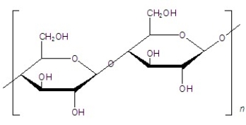Name the following structure.   A) amylopectin B) amylose C) lactose D) cellulose E) starch