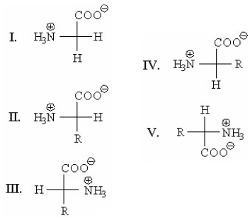 Which of the following is an L-amino acid?   A) I B) II C) III D) IV E) V
