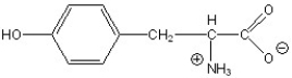 Name the following compound.   A) tyrosine B) lysine C) arginine D) histidine E) phenylalanine
