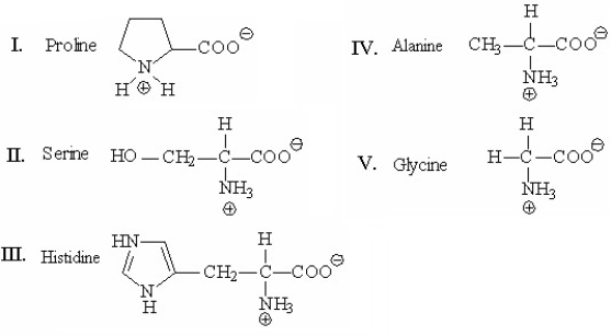 Which of the following amino acids has a side chain with an ionizable proton and can exist in four different forms, depending on the pH of the solution?   A) I B) II C) III D) IV E) V