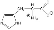 Give the pH at which histidine exists in the following form.   A) 0 B) 4 C) 8 D) 12 E) 14