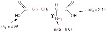 Calculate the isoelectric point for the following compound.   A) 3) 22 B) 5) 34 C) 5) 93 D) 6) 91 E) 9) 67