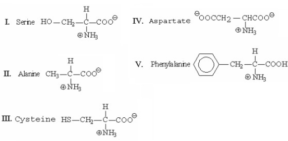 Which of the following amino acids will be closest to the origin when separated by thin-layer chromatography?   A) I B) II C) III D) IV E) V