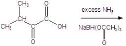 Give the product for the following reaction.   A) alanine B) leucine C) valine D) isoleucine E) glycine